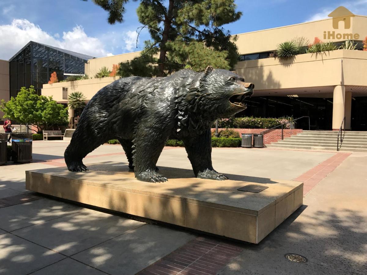 Perfect Apt Near Ucla W Parking Gym Pool Wifi In Westwood B3 Los Ángeles Exterior foto